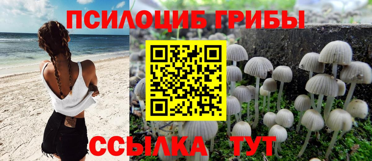 Галлюциногенные грибы Psilocybine cubensis Верхний Уфалей