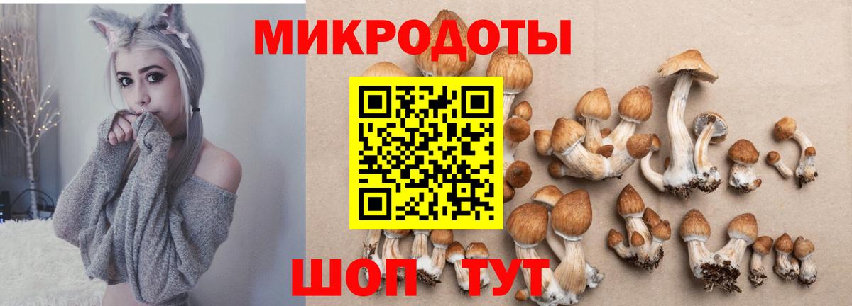 как найти закладки  Псилоцибиновые грибы Psilocybe  Вход с VPN  Верхний Уфалей 